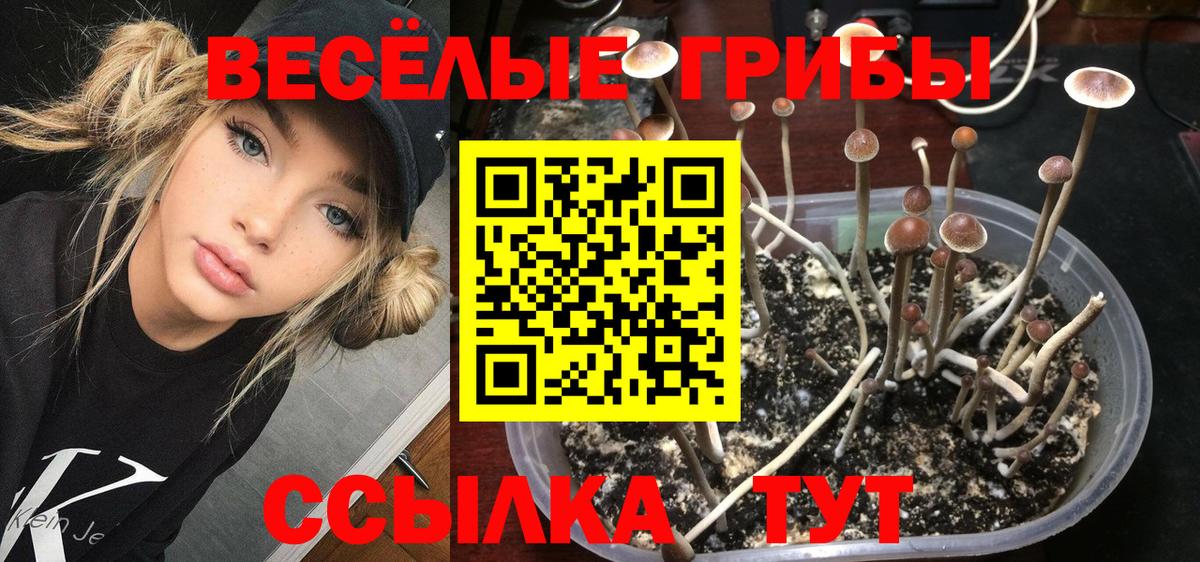 Галлюциногенные грибы ЛСД  Вход с VPN  Петропавловск-Камчатский 