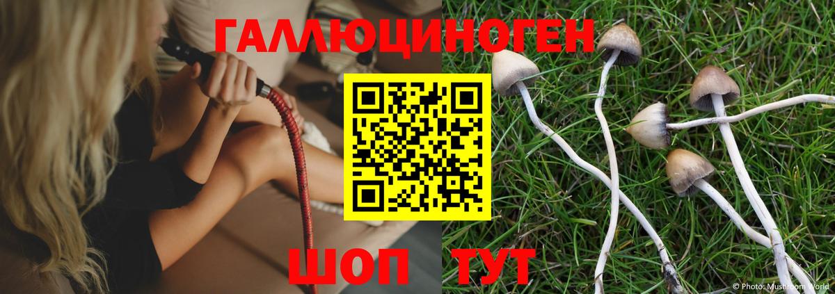 Псилоцибиновые грибы Magic Shrooms Петропавловск-Камчатский